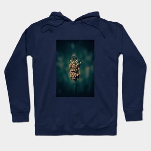 Flowering grass. Hoodie